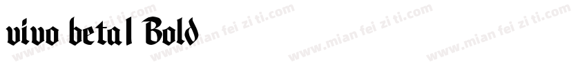 vivo beta1 Bold字体转换